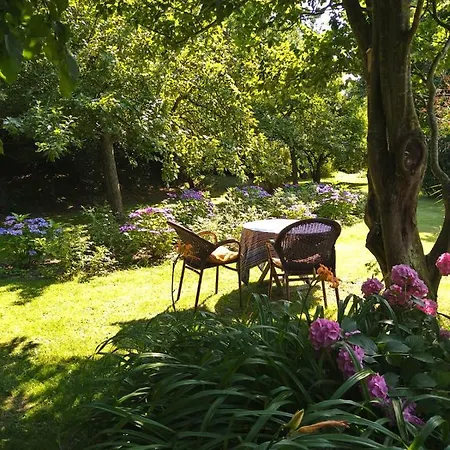 度假居 Vakantiehuisje *