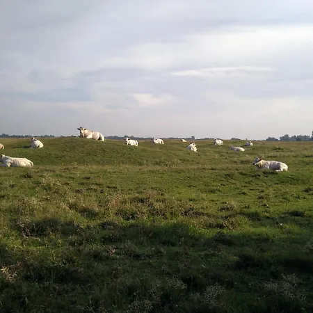 Vakantiehuisje Ouddorp